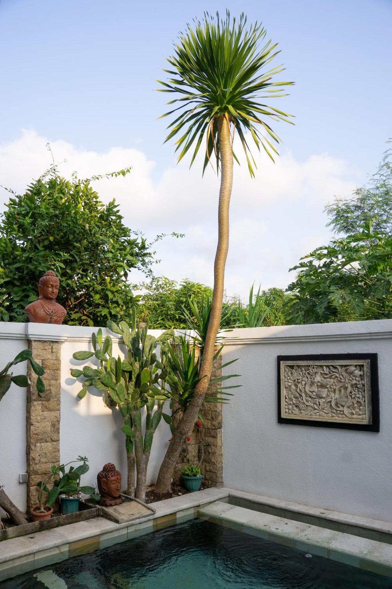 Hills House Villa By Sunnyrent - Jimbaran X Balangan X Gwk Exteriér fotografie