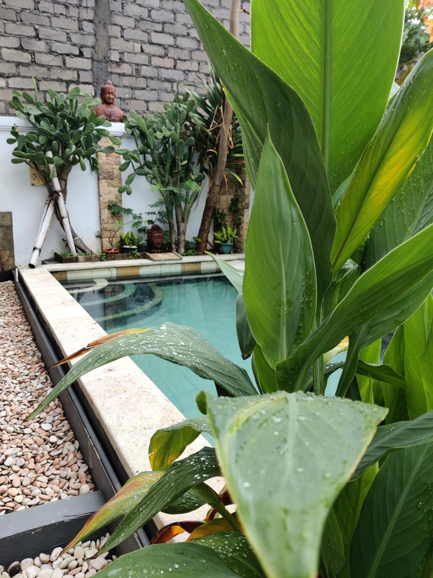 Hills House Villa By Sunnyrent - Jimbaran X Balangan X Gwk Exteriér fotografie
